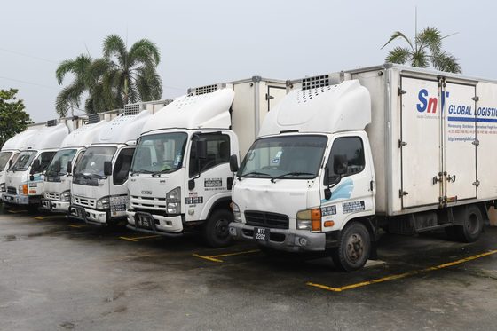 A line of SnT-liveried box trucks parked at the yard.